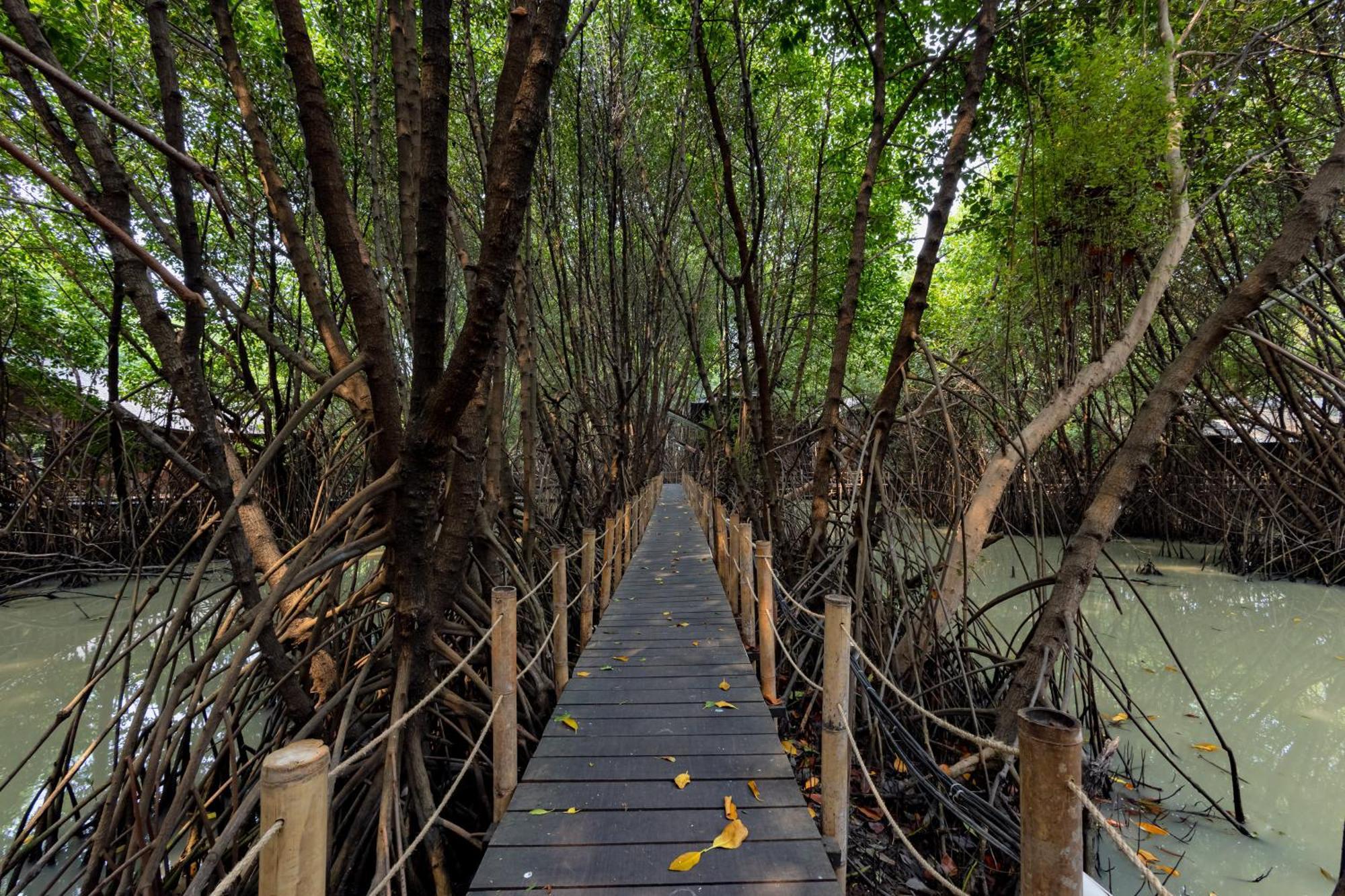 Reddoorz Resort @ Taman Wisata Mangrove Cakarta Dış mekan fotoğraf
