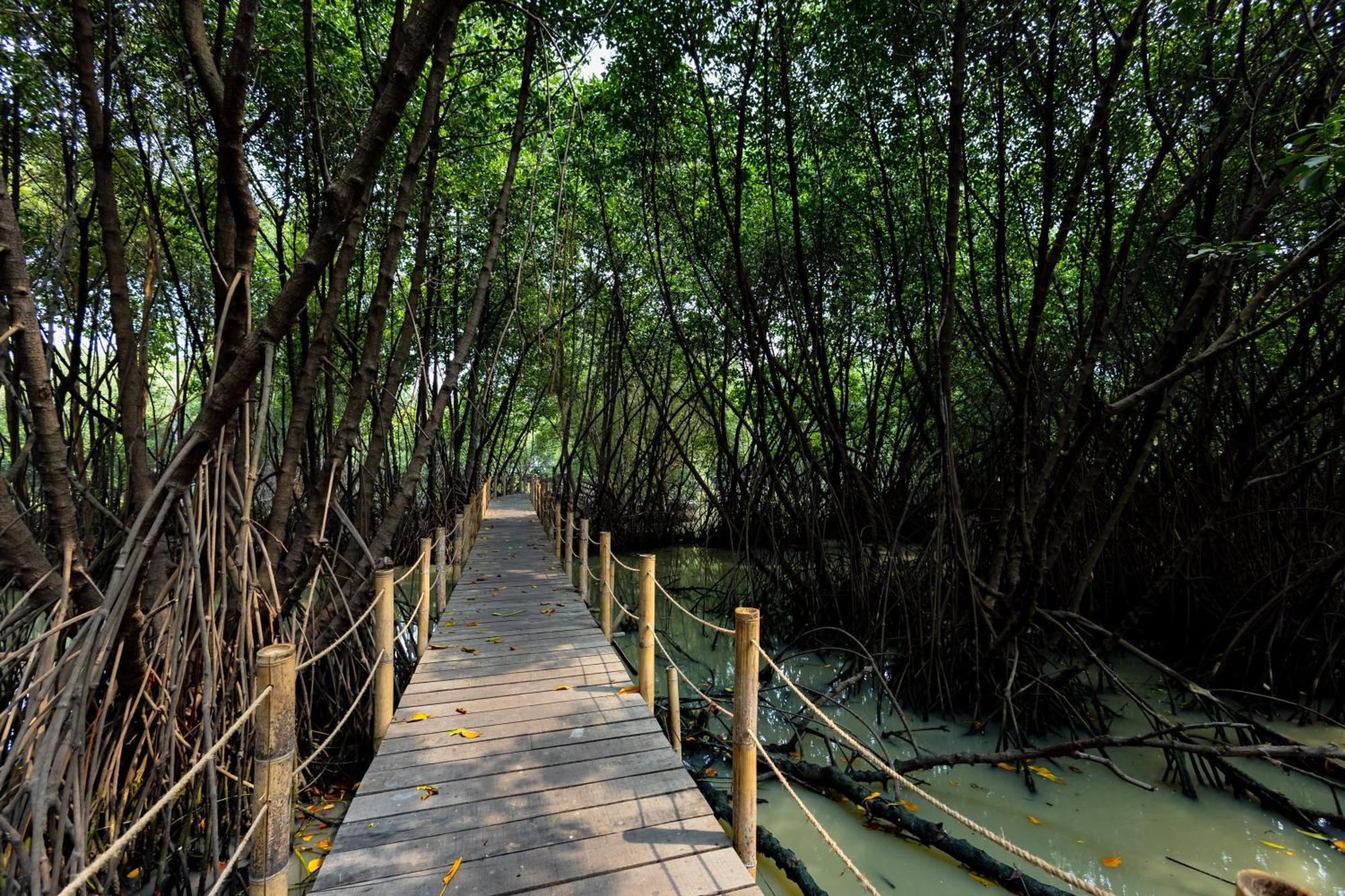 Reddoorz Resort @ Taman Wisata Mangrove Cakarta Dış mekan fotoğraf